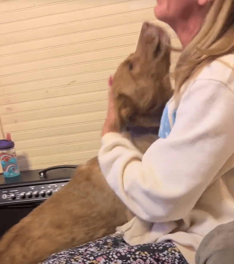 Dog’s Emotional Reunion with Her Owner
